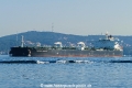 Ridgebury Lessley B (OK-020917-1).jpg