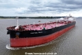 Proteus Tracy KH-240824-3.jpg