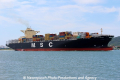 MSC Altamira RV-131212-02.jpg