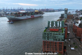 OOCL Spain 040823-13.jpg