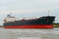 Johnny Trader (OK-101022-0).jpg