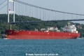 Safeen Elona (OK-160823-3).jpg