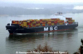 MSC Alessia (300103-02).jpg