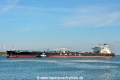 Sea Beauty (KB-D210622-01).jpg