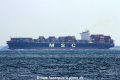 MSC Adelaide (MS-291016-04).jpg