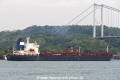 Janaki (OK-150823-5).jpg