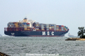 MSC Anzu (MS-140816-31).jpg