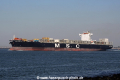 MSC Agrigento (JS-230816-07).jpg