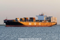 MSC Adelaide (OK-210717-0).jpg