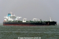 Sea Garnet SH-220519-01.jpg
