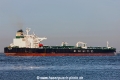 Sea Icon (MM-180718-2).jpg