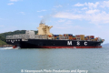 MSC Altamira RV-131212-05.jpg