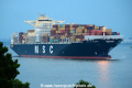 MSC Altamira 240615-01.jpg