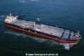 Sakura Princess SH-190120-02.jpg