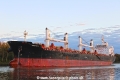 Dorysia RA-221023-03.jpg