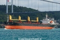 Don (OK-060923-1).jpg