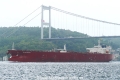 Safeen Baroness (OK-140823-2).jpg