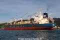 Dodo RV-210324-02.jpg