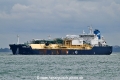 Fuelng Venosa OS-221025-01.jpg