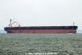 Star Martha (MS-140816-03).jpg