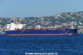 Sealeo (OK-190824-1).jpg