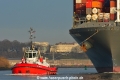 ZP Bear (KB-D291219-01).jpg