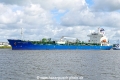 Ginga Hammerhead (OK-090626-0).jpg