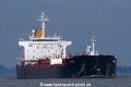 Kerel (SW-240908-07).jpg