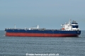 Seatribute HK-210921.jpg