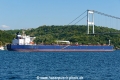 Sealeo (OK-190824-5).jpg