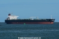 Seapacis (MB-020719-1).jpg