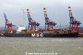 MSC Asya 310315-01.jpg