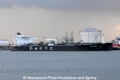 Sea Jewel OS-141113-01.jpg
