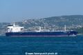 Seavelvet (OK-210823-2).jpg