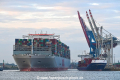 OOCL Spain 040823-31.jpg