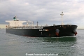Sea Puma TL-031022-3.jpg