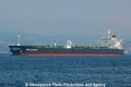 Seasenator (OK-121013-1).jpg