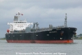 Jose Progress (MB-180611-4).jpg