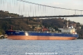 Seagrace (OK-250114-1).jpg