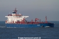 Seasong (MM-120114-1).jpg