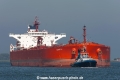 Seadelta (MM-030914-1).jpg