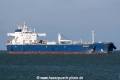 Seatribute SH-160225-01.jpg