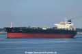 Seajewel OS-230623-01.jpg