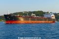 Kamelot (OK-290824-0).jpg