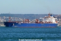 Seafalcon (OK-020214-1).jpg