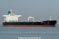 Sea Puma SH-150920-01.jpg
