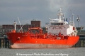 Eships Agamid (AW-210308-01).jpg