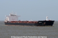 Tango Sea JG-160613-01.jpg