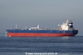 Seacalm (JS-230219-11).jpg