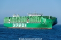 Ever Eco SH-131225-2.jpg